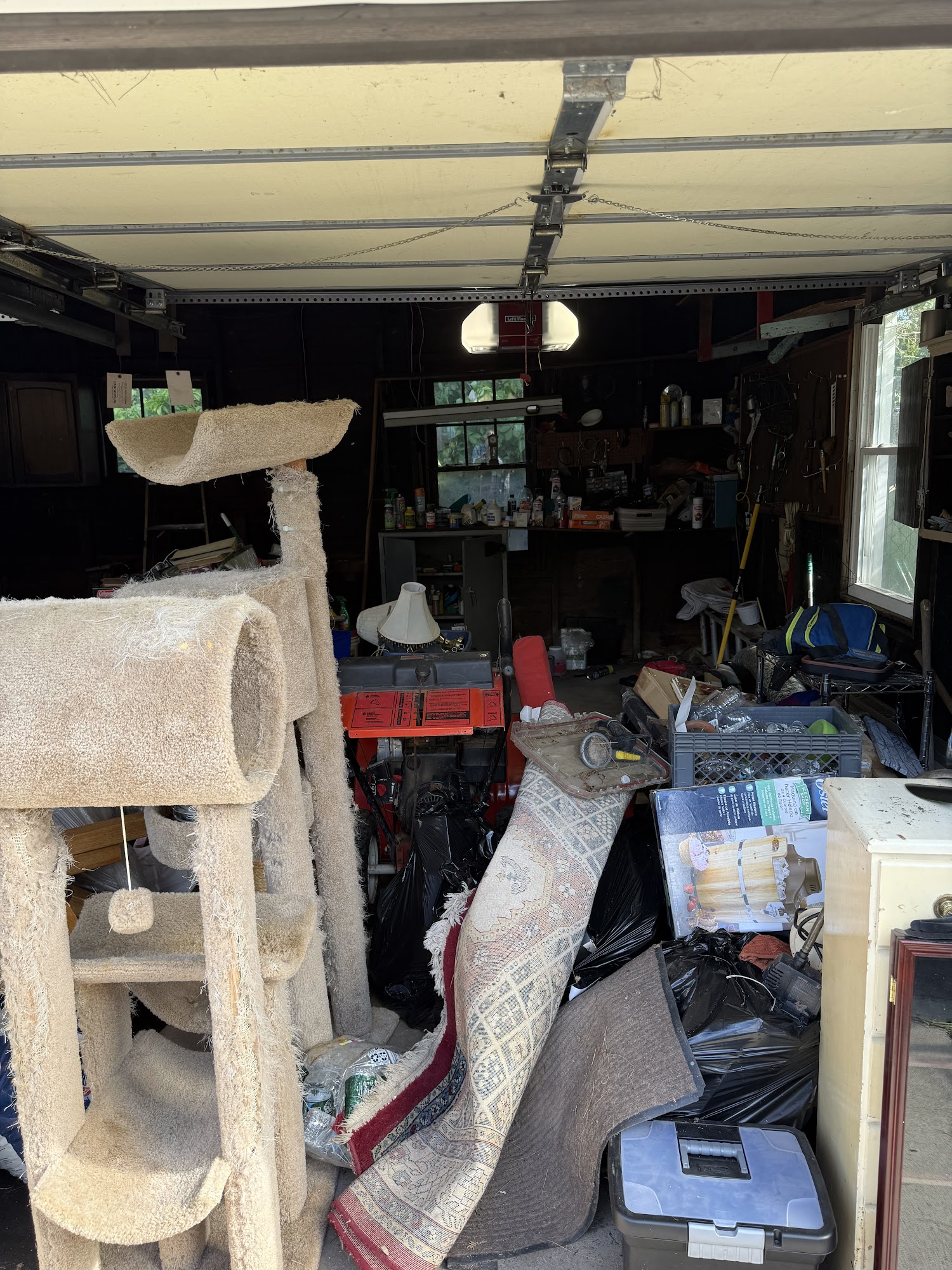 Junk and furniture removal